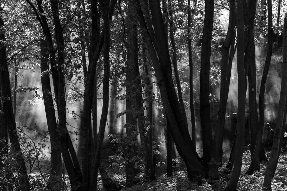 Photograph by Евгения Булычёва