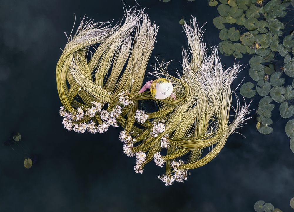 Photograph by Tuấn Nguyễn Tấn