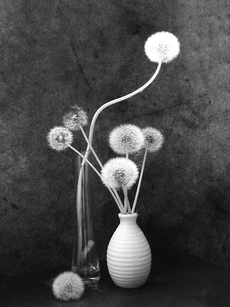 Photograph by Татьяна Шибанова