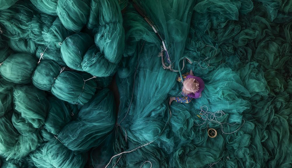 Photograph by Tuấn Nguyễn Tấn