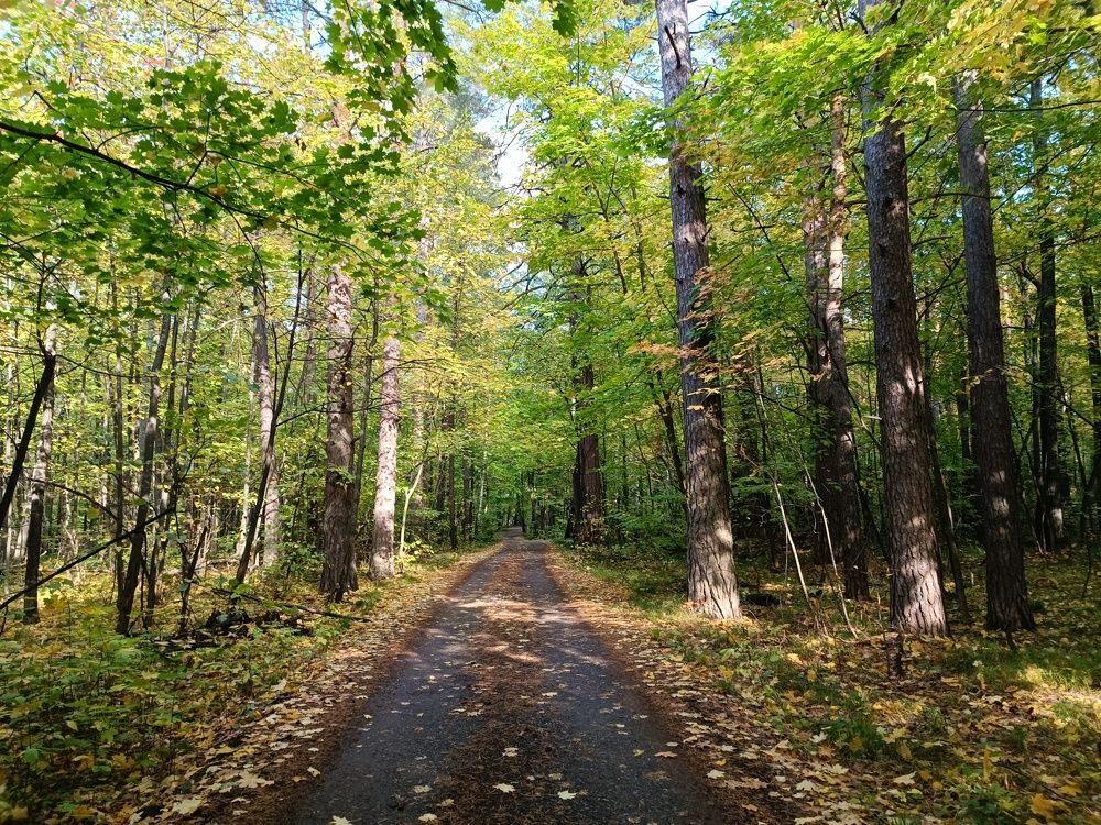 Photograph by Елена Рудкевич