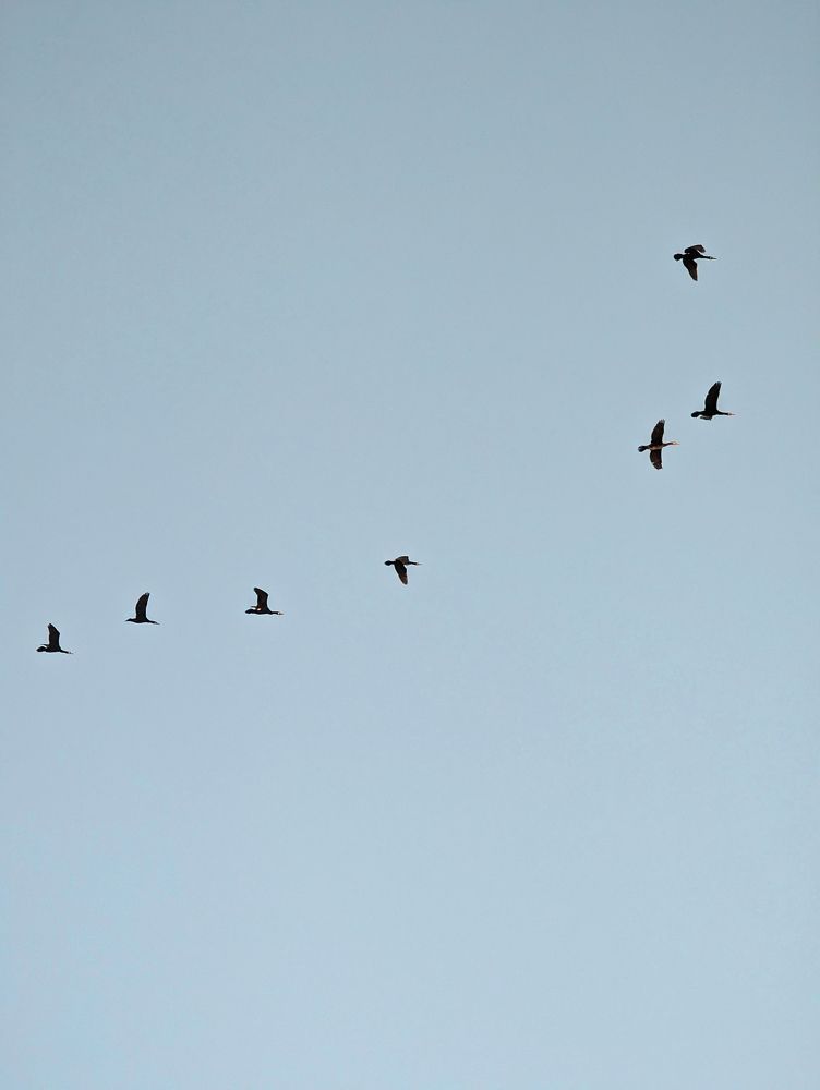 Photograph by Евгения Булычёва