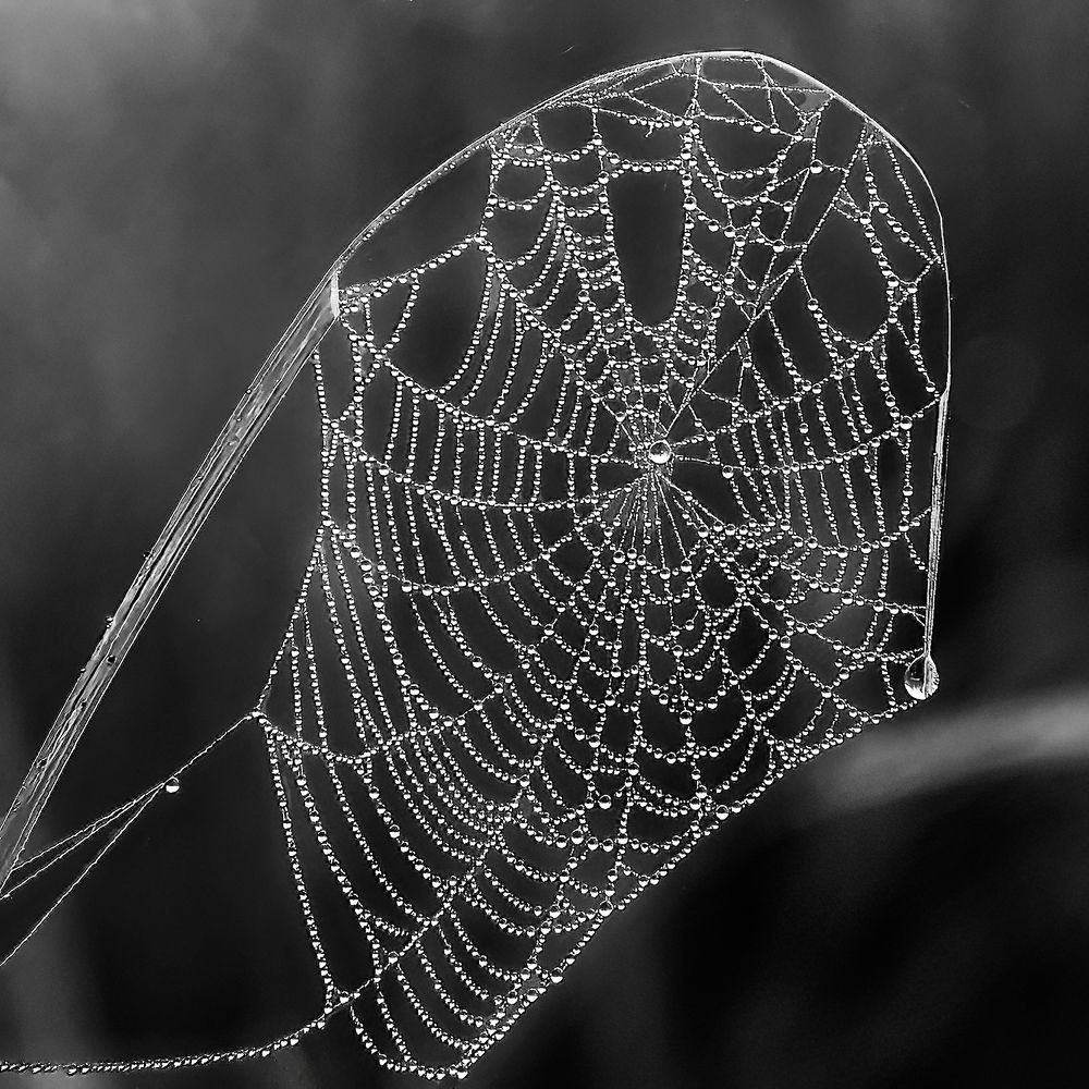 Photograph by Юрий Спасенников