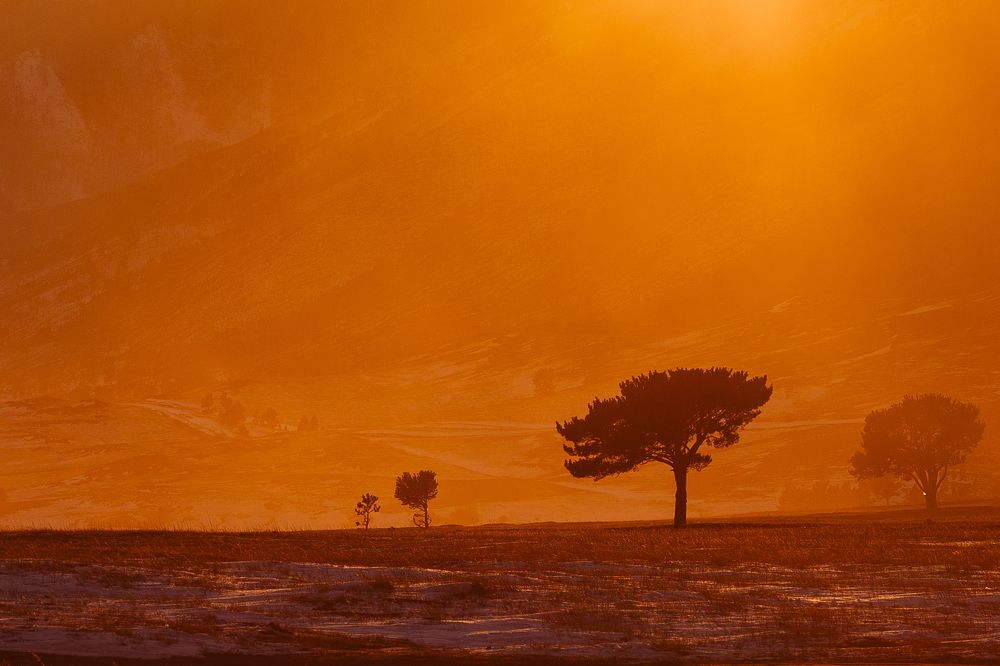 Фотография автора Анна Рыжкова