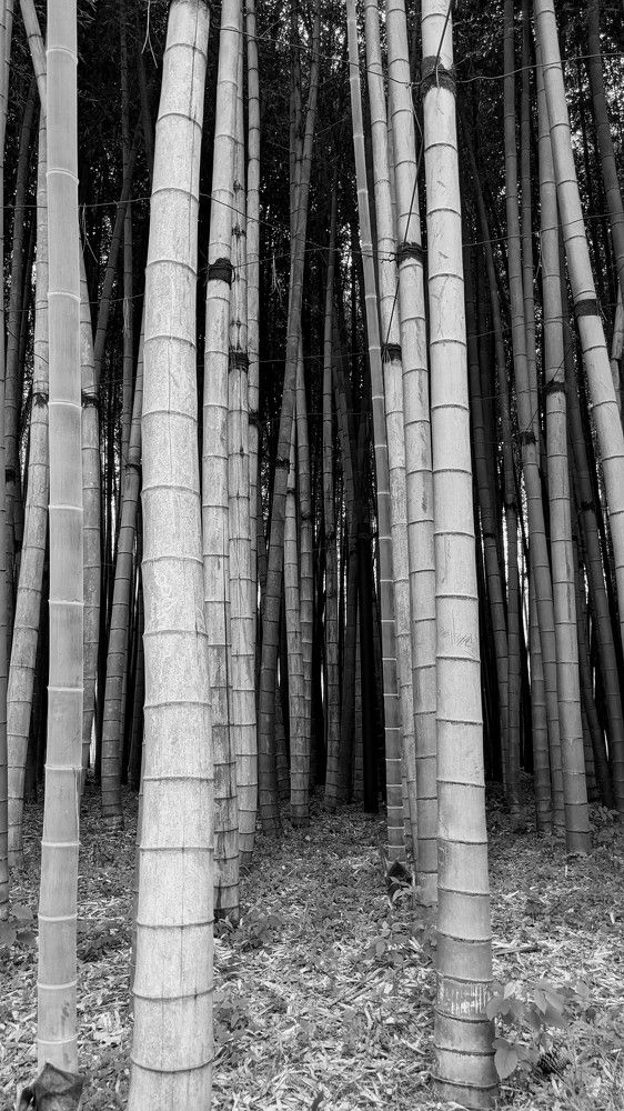 Photograph by Lilit Petrosyan