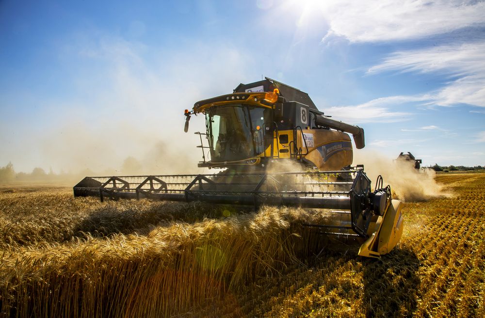 Photograph by Константин