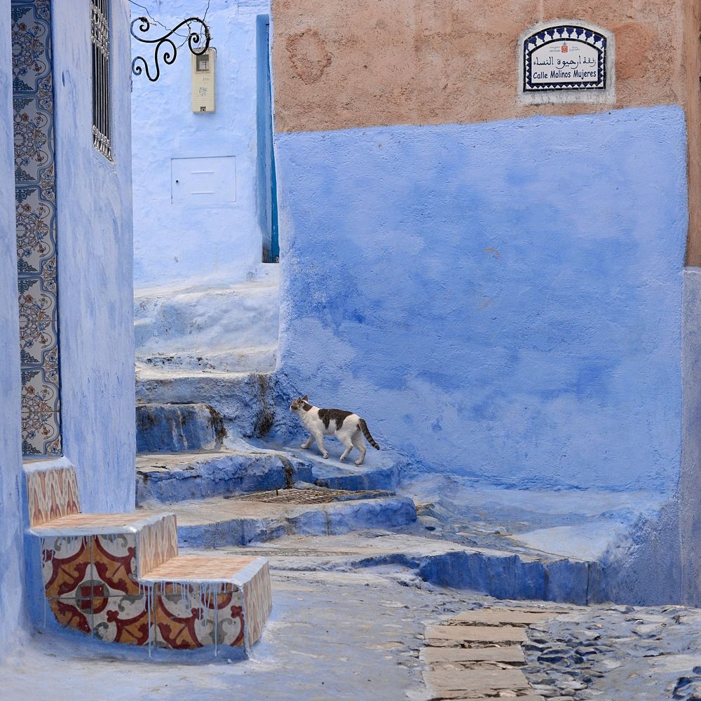 Photograph by Adrian Pablo Rosati