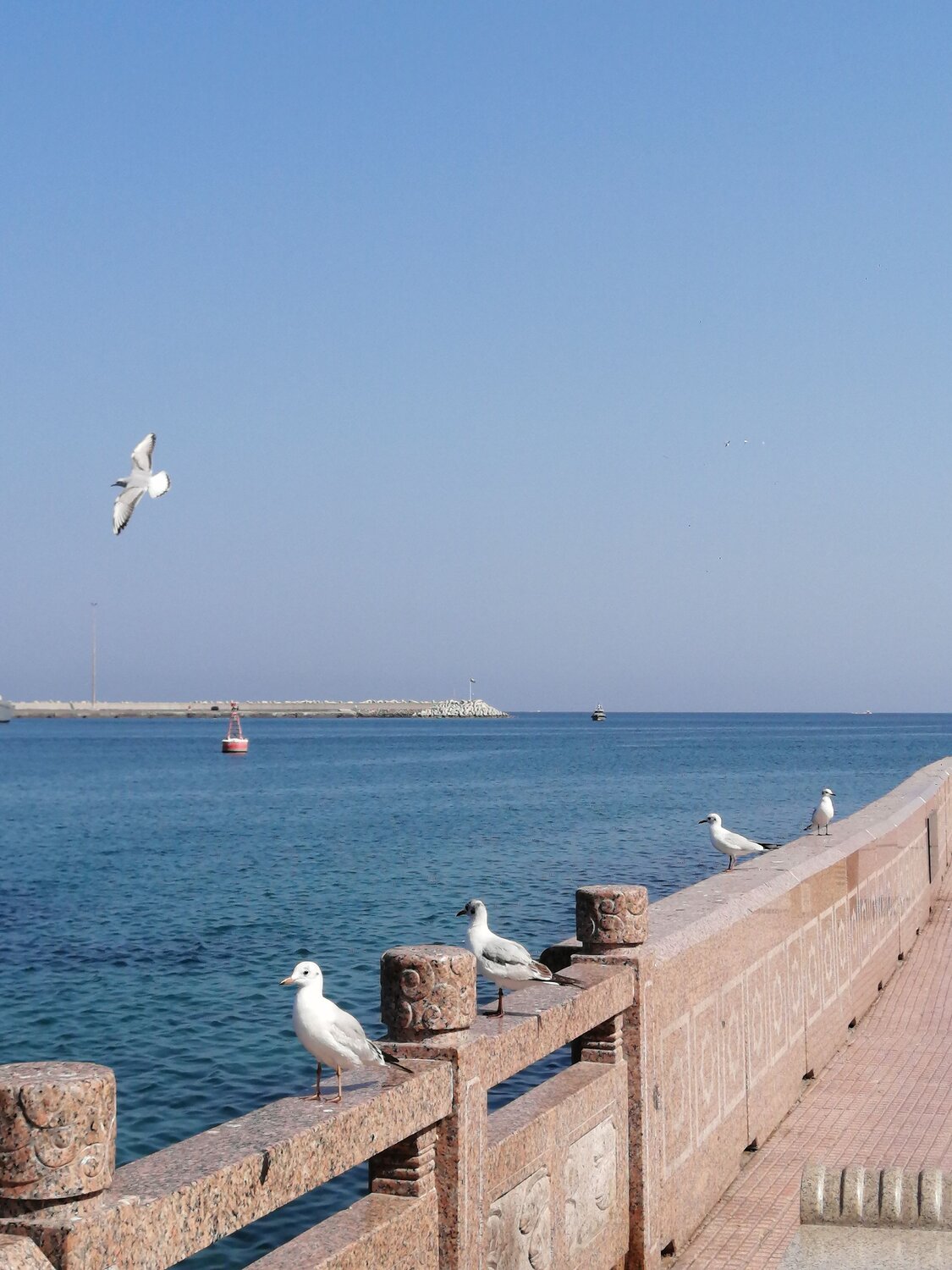 Photo #10340026