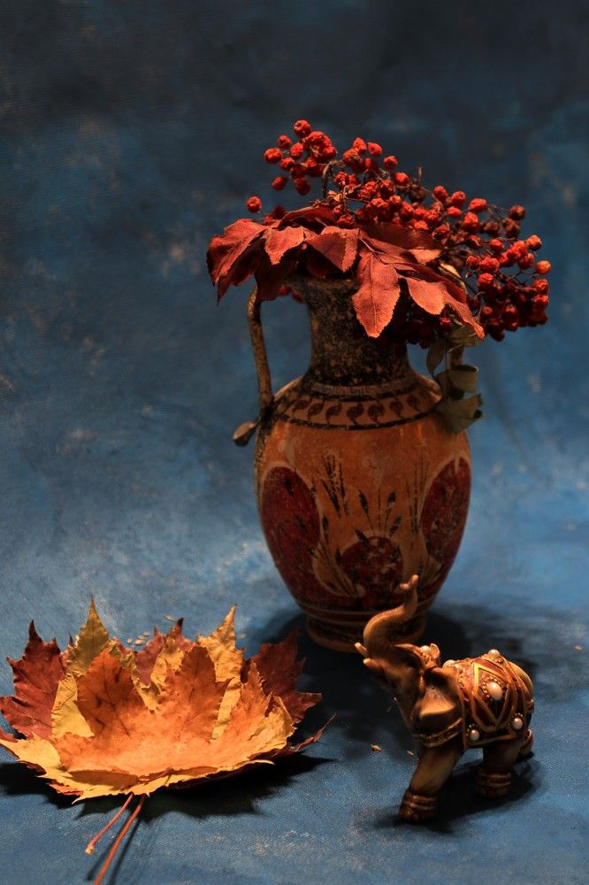 Фотография автора Елена Разина