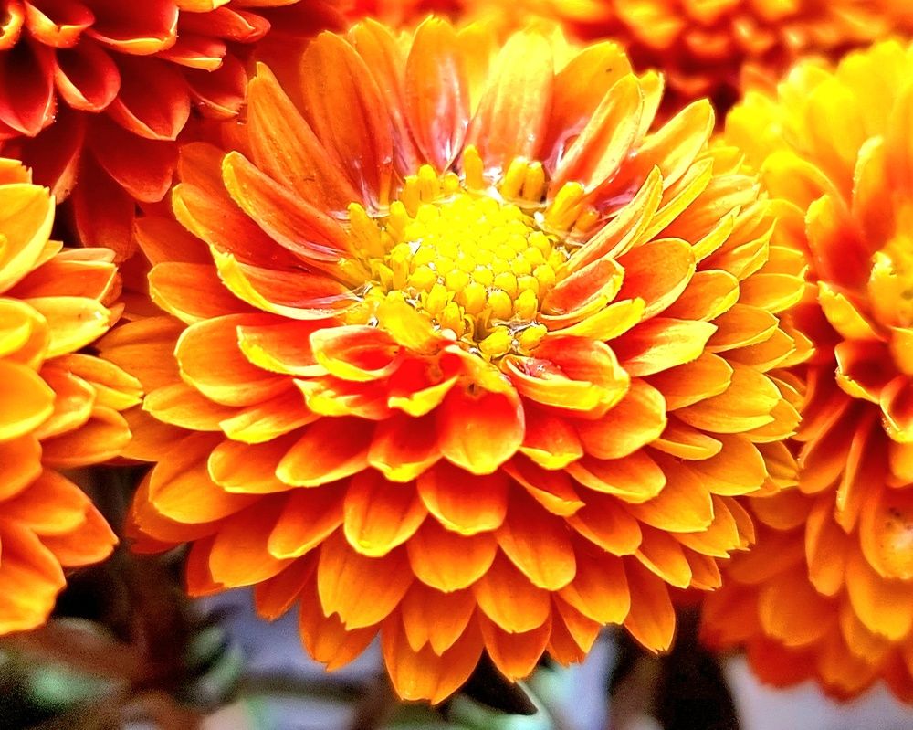 Photograph by Евгений Фесенко