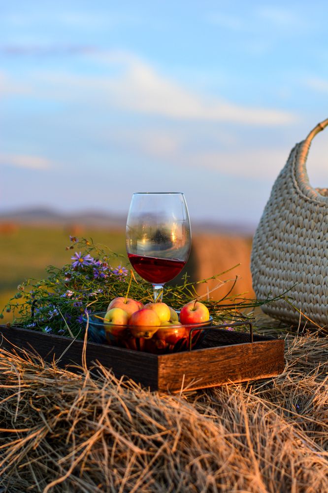 Photograph by Дарья Целуйко