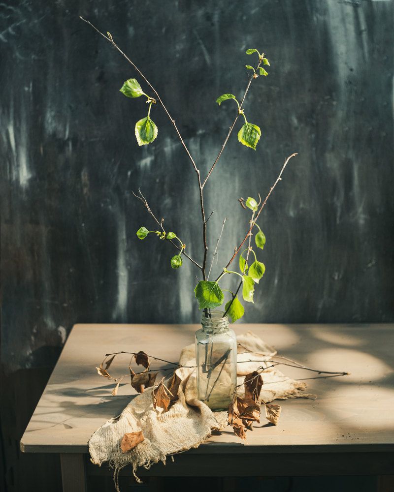 Photograph by Анастасия Тимарг