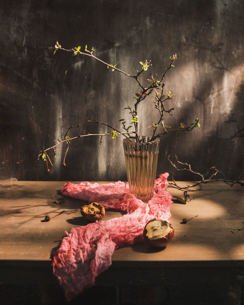 Photograph by Анастасия Тимарг