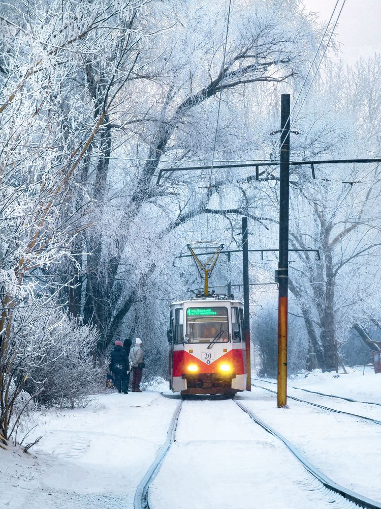 Photograph by Алексей Степаненко
