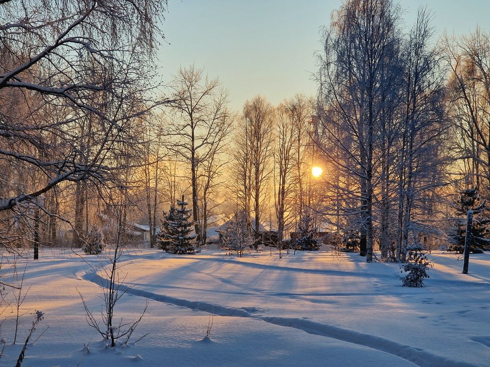 Photo #10340225