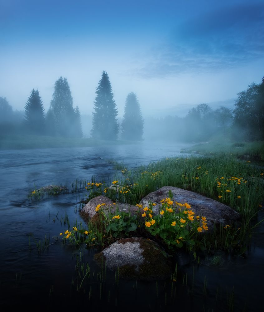 Пора цветения...