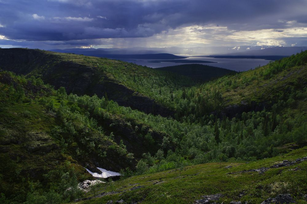 Фотография автора Алёна Виноградова