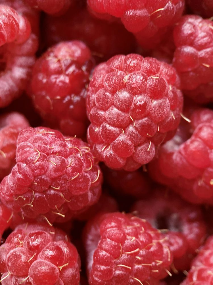 Фотография автора Наталья Василькова