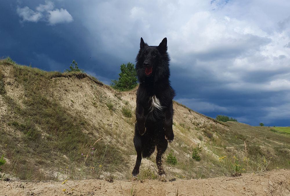 Фотография автора Надежда Лисицына