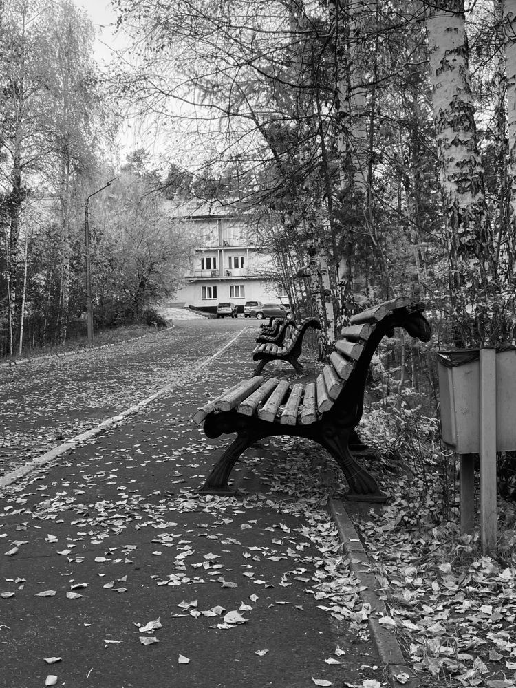 Photograph by Василиса Шуева