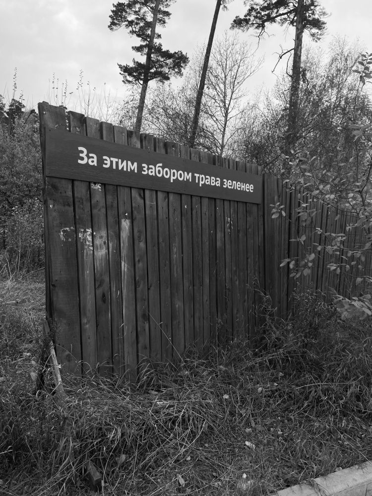 Photograph by Василиса Шуева