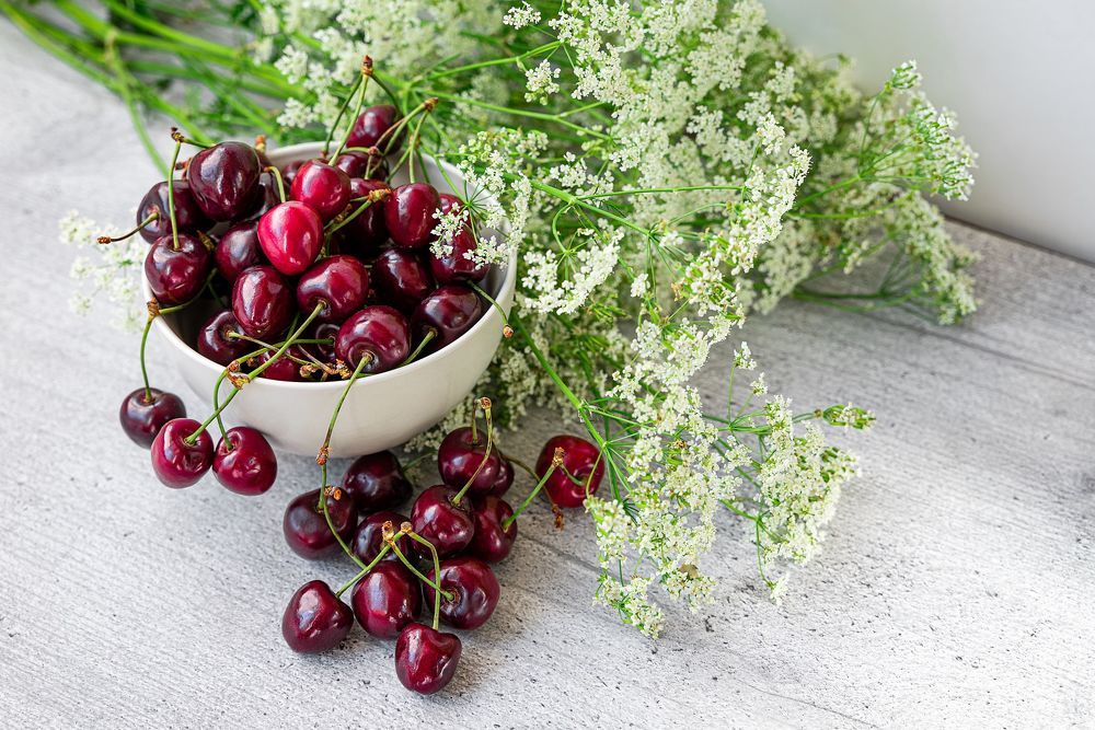 Photograph by Галина Эмберг