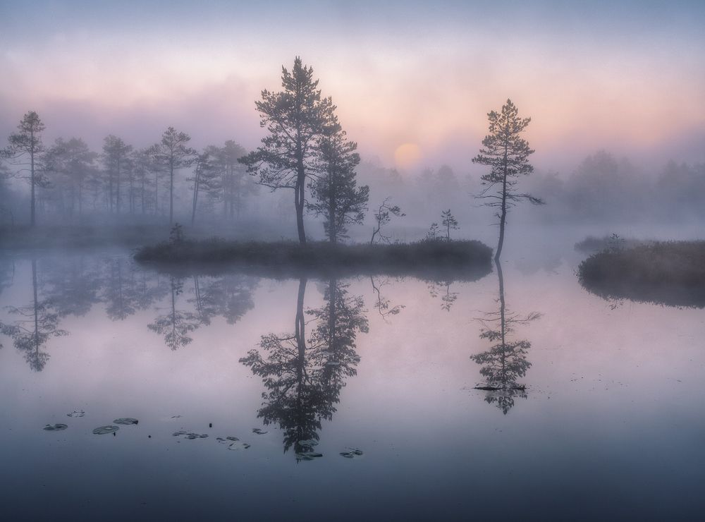 Ленивое утро...
