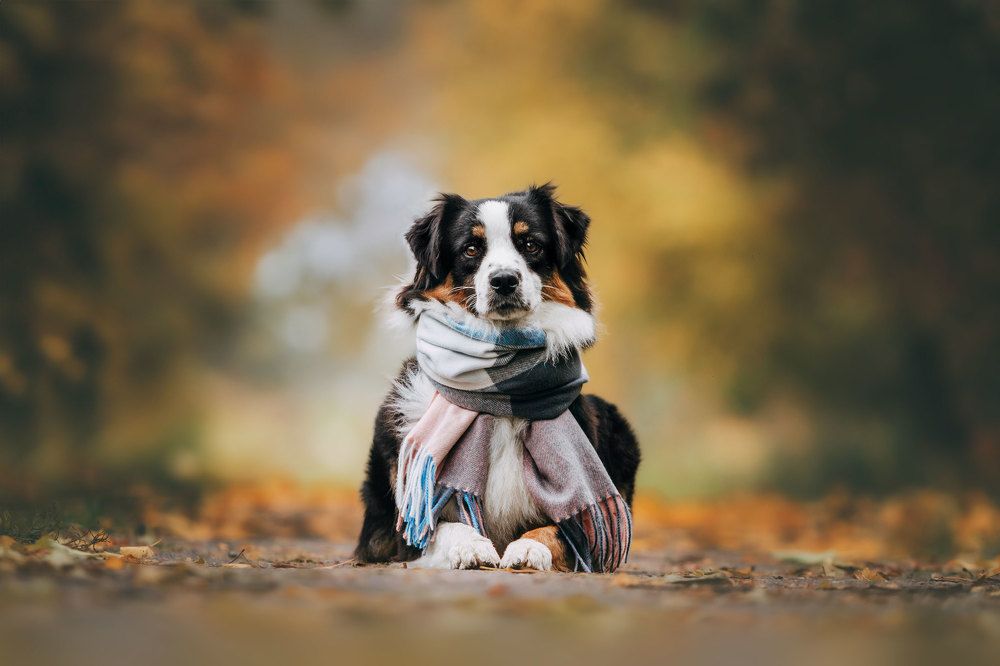 Фотография автора Анна