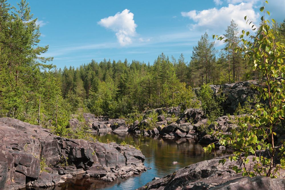 Photograph by Елена Рудкевич