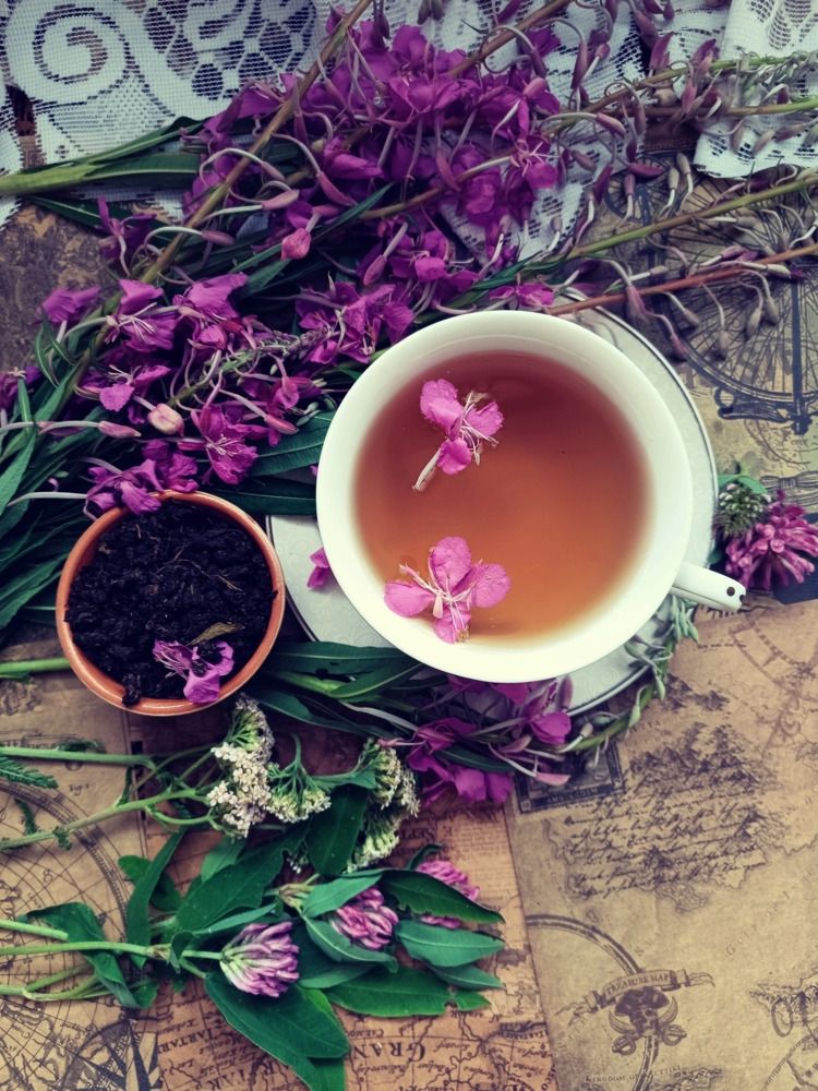 Photograph by Екатерина Одинцова