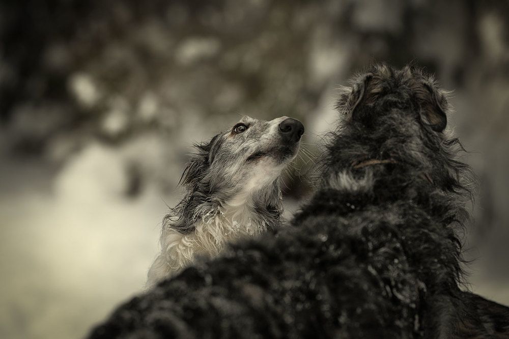 Фотография автора Iurii Butakov