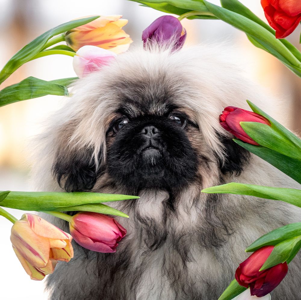 Photograph by Мария Егорова