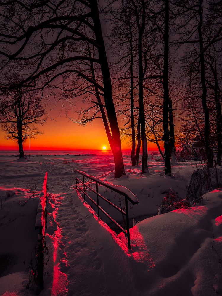 Photograph by Chic.chiquitita