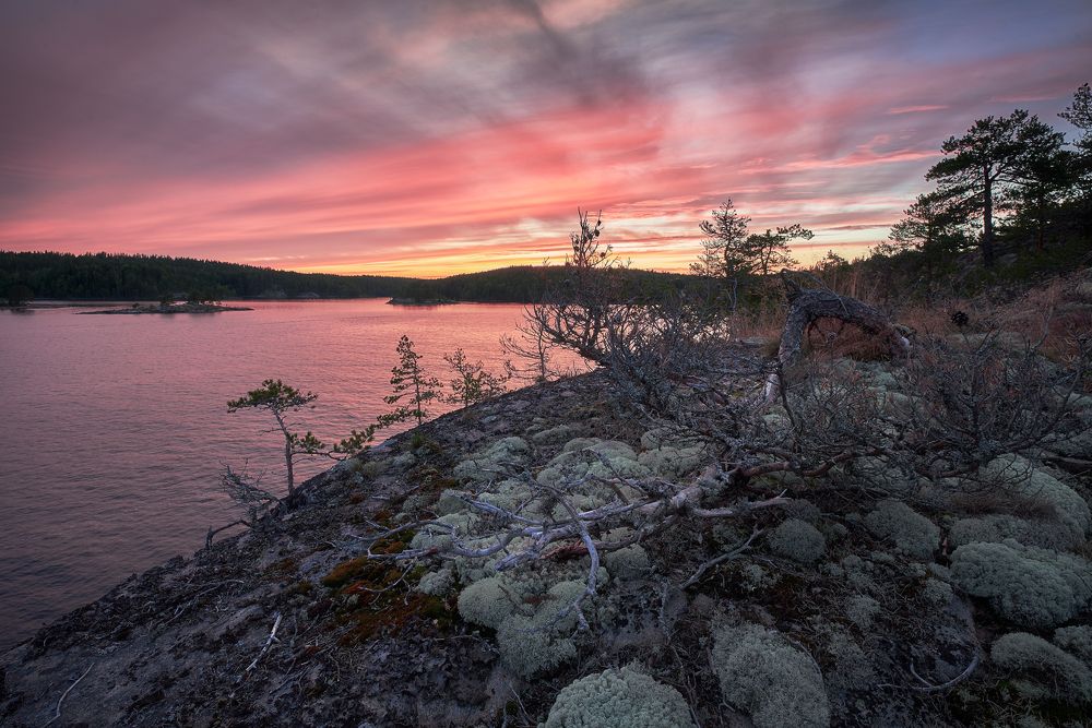 Photograph by Чехонин Александр