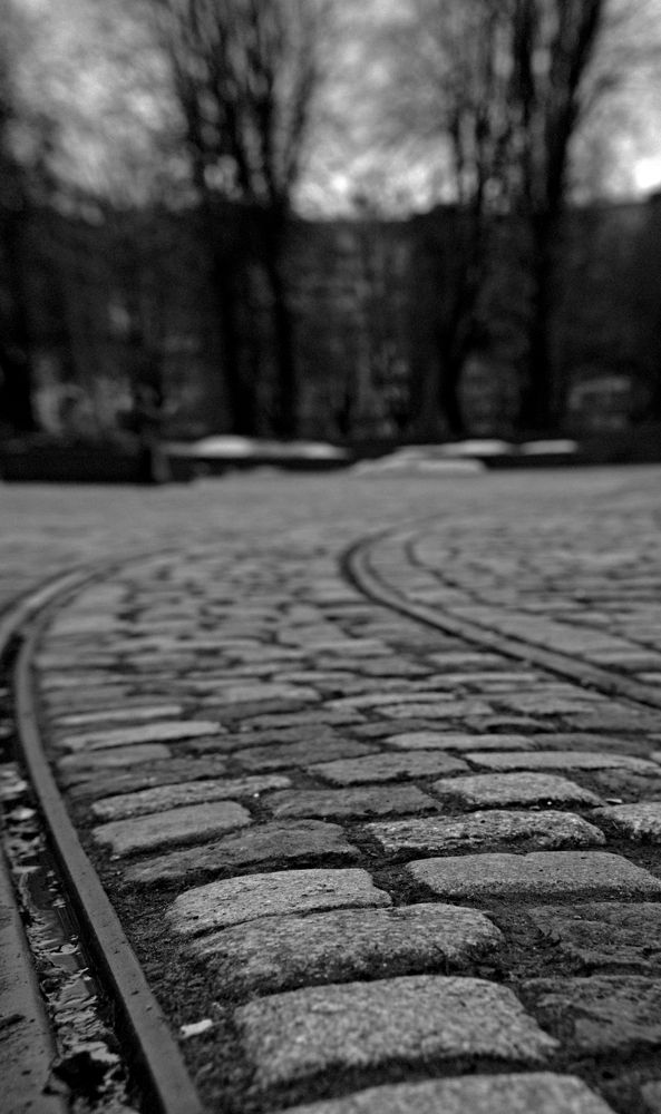 Photograph by Ольга