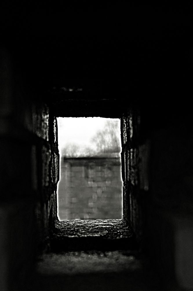 Photograph by Ольга