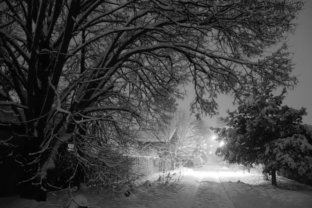 ночная прогулка