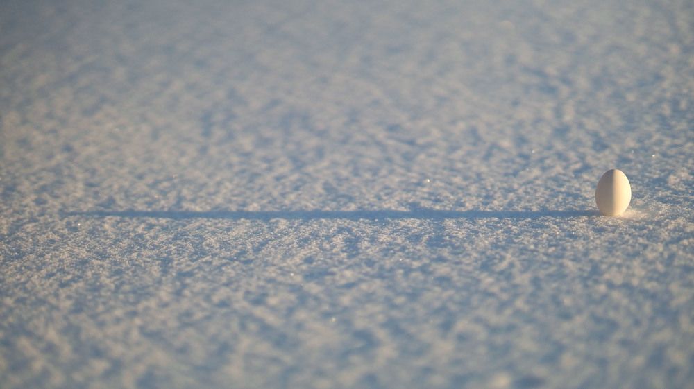 Photograph by Екатерина Родина