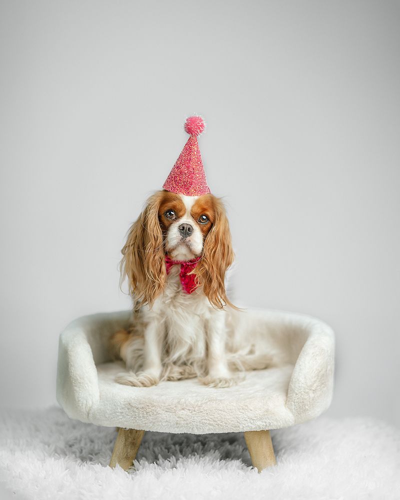 Photograph by Marta Muzylowski