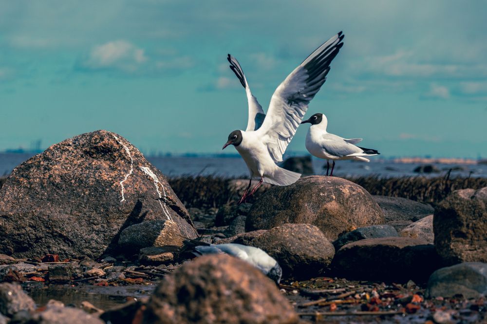 Photograph by Галина Аскольдовна Луковникова