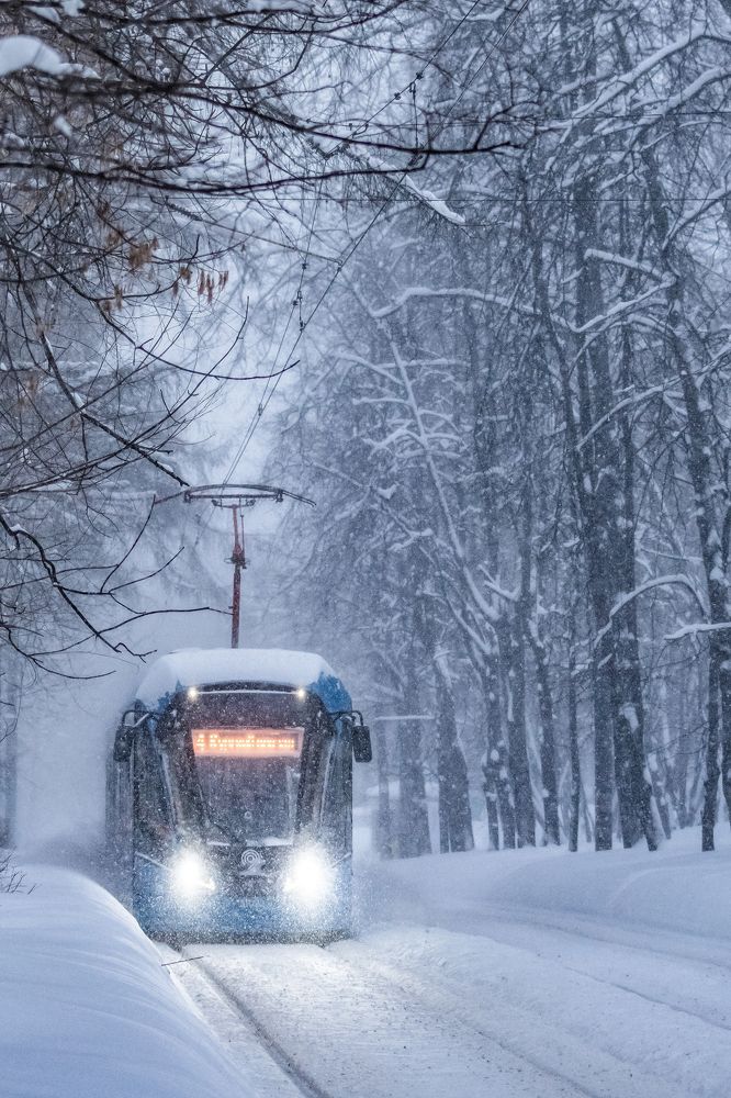 Photograph by Светлана