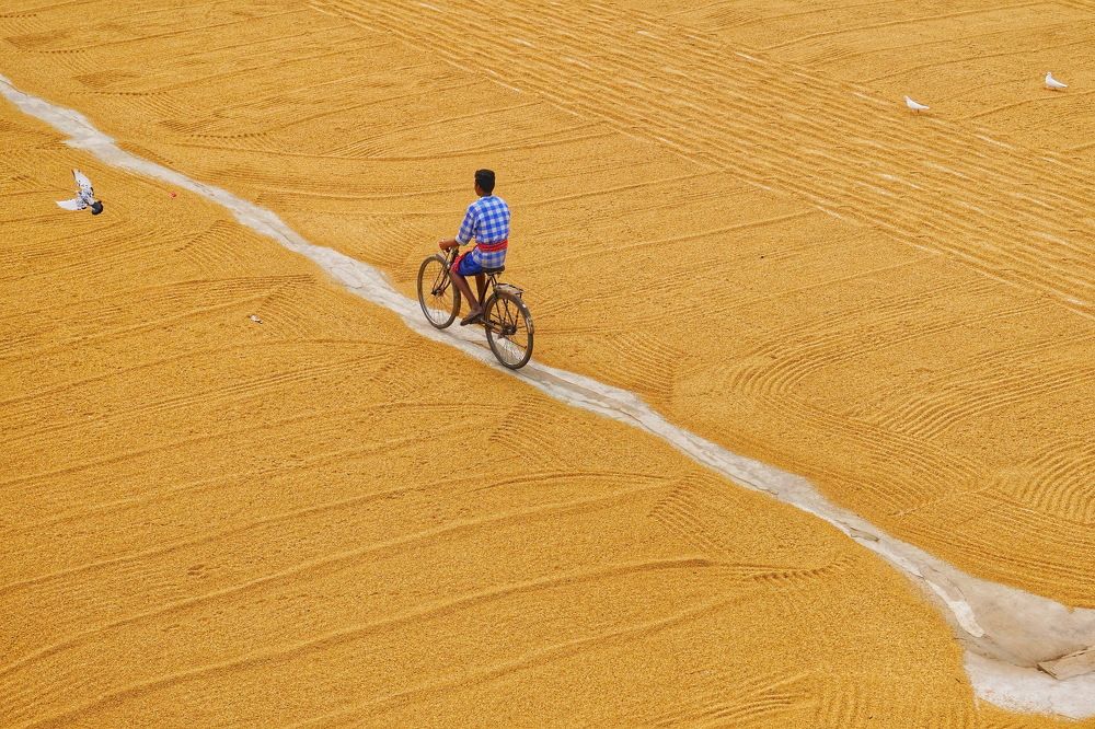 Photograph by DIBAKAR ROY