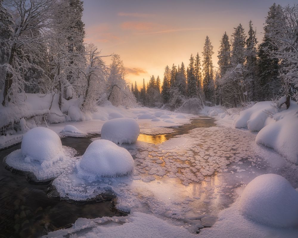 Фотография автора Dmitry Medyancev