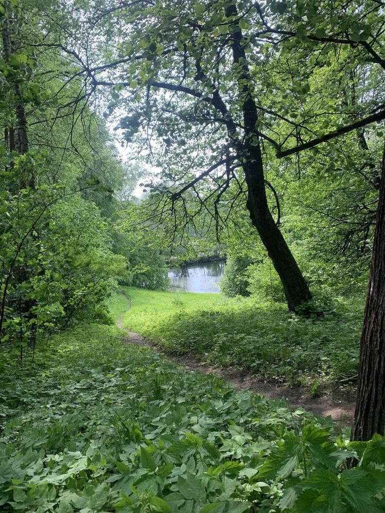 Photograph by Елена Коптева