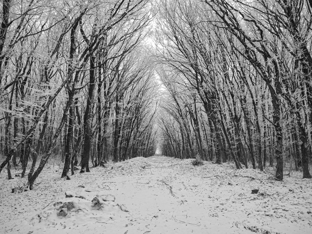 Photograph by Виталий Маслов