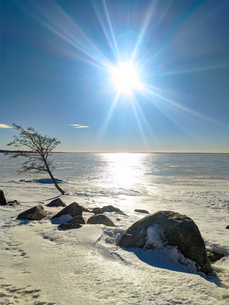 В ожидании весны.