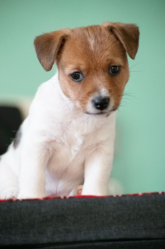 Photograph by Надежда Мерзликина