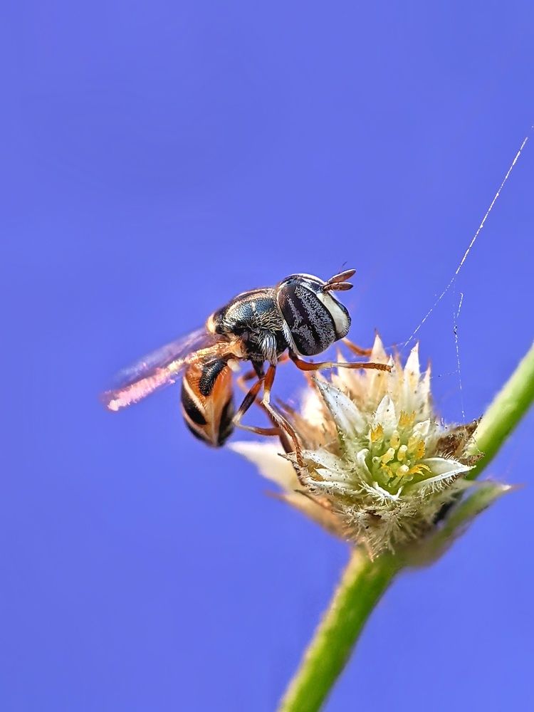 Photograph by Sai Krishna