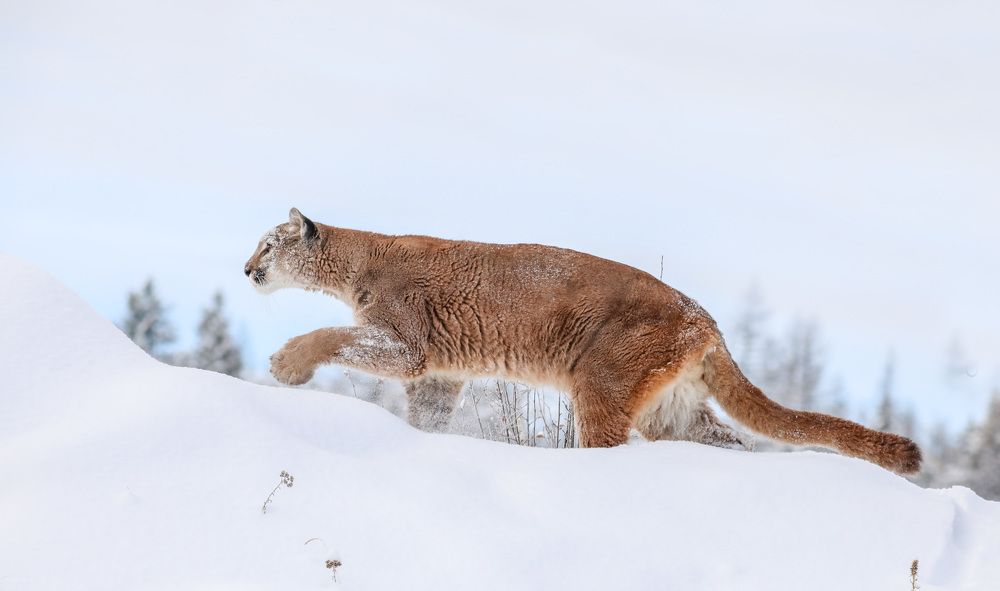 Photograph by Adeliene Lohman