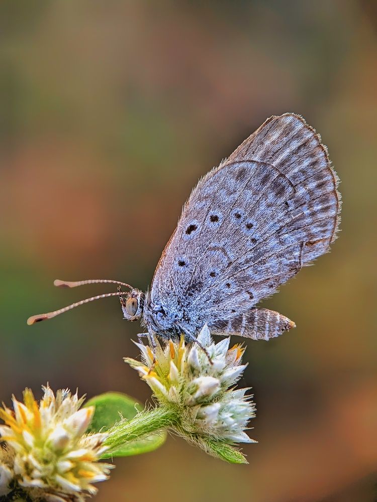 Photograph by Sai Krishna